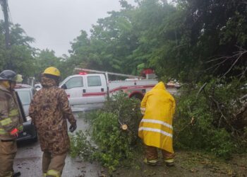 Activa y mantiene Gobierno de Victoria acciones de auxilio a la población por intensa lluvia