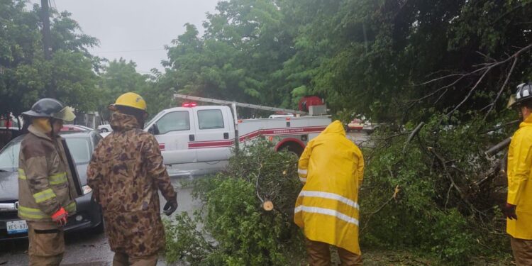 Activa y mantiene Gobierno de Victoria acciones de auxilio a la población por intensa lluvia