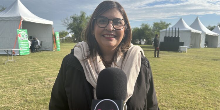 Transporte híbrido en Victoria también será puesto a prueba en distintas condiciones climáticas