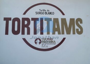 Del campo tamaulipeco a la mesa: tortillas de sorgo conquistan a Victoria