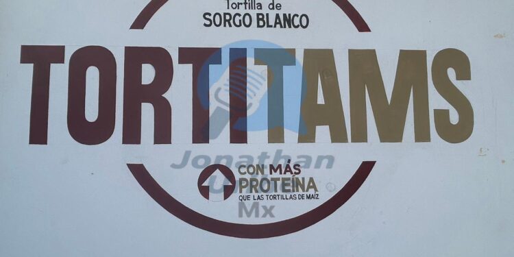 Del campo tamaulipeco a la mesa: tortillas de sorgo conquistan a Victoria