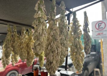 Las chochas: sabor y tradición del campo tamaulipeco