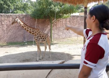 Ofrece Comisión de Parques Zoo Visitas