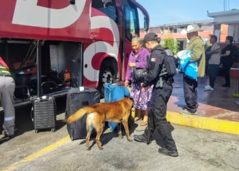 Canino ‘’Max’’ de la Guardia Estatal realiza inspección en Central de Autobuses de Ciudad Victoria