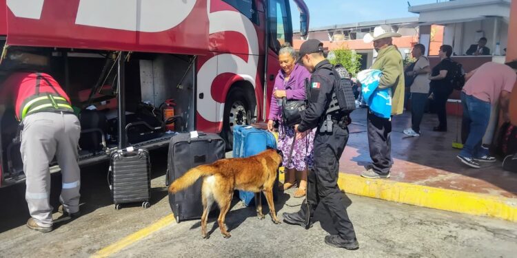 Canino ‘’Max’’ de la Guardia Estatal realiza inspección en Central de Autobuses de Ciudad Victoria