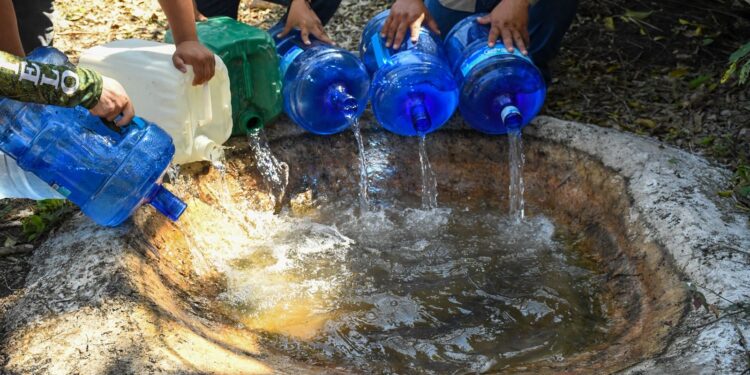 Refuerzan protección de fauna silvestre ante ola de calor en Tamaulipas