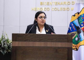 Busca diputada garantizar el uso responsable de la inteligencia artificial en el sector público