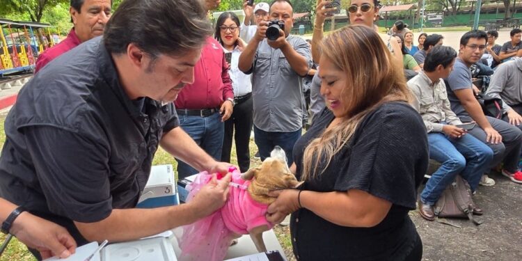 Aplicará Salud 345 mil dosis en campaña de vacunación antirrábica