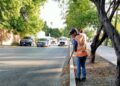 El cuidado de la imagen de Victoria, la Capital, es permanente