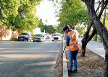 El cuidado de la imagen de Victoria, la Capital, es permanente