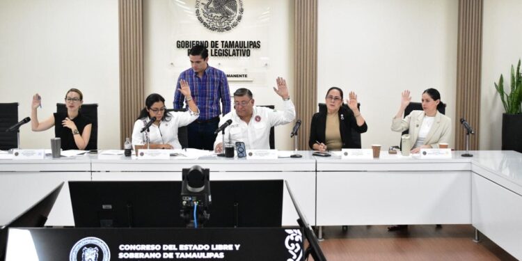 Diputada Francisca Castro propone fortalecer la transparencia financiera de los municipios