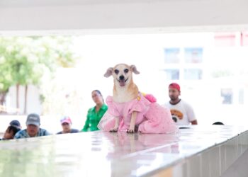 Inicia DIF Victoria “Verano CEDIF” con aprendizaje, diversión y cuidado animal